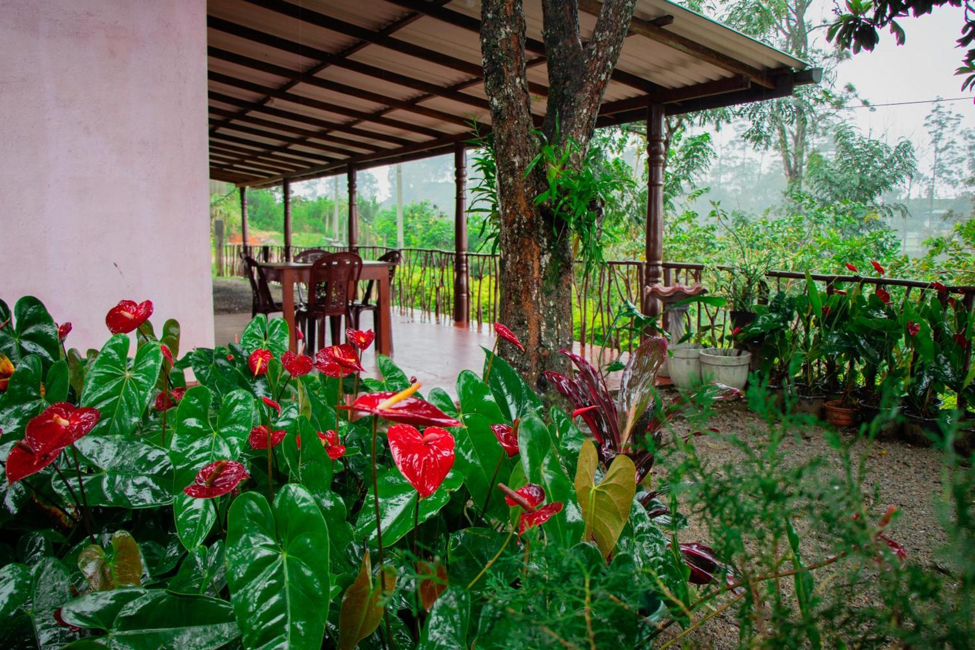 Nine Arch Homestay Ella Εξωτερικό φωτογραφία